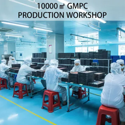 Custom Your Brand Long-Lasting Eyebrow Tint and Enhancers