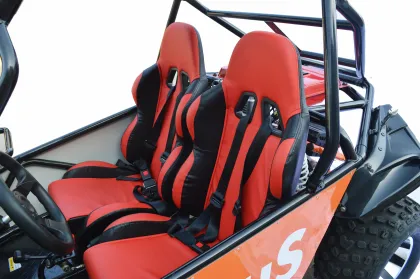 200cc Adult Off-Road Go Kart with 4 Wheels and 2 Seaters