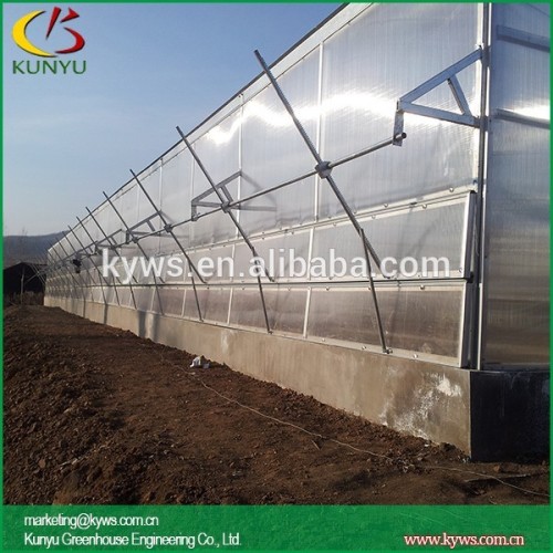 P96VT550 Arch roof type corrugated plastic greenhouse panels