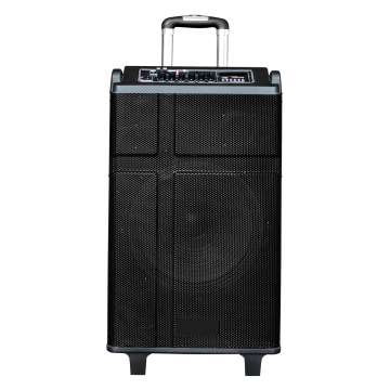 Portable Karaoke Subwoofer Speaker Trolley QX-1024