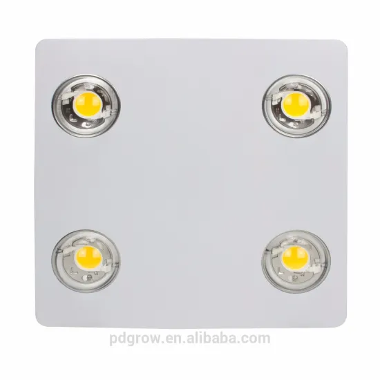 Hot Selling Factory Price Best Bio Media Full Spectrum COB LED Grow Lights 200w 400w 600w