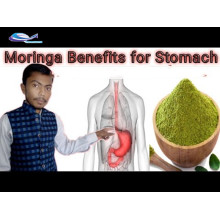 Good Sildenafil Bulk Price Natural Organic Moringa Leaf Powder Manufactory