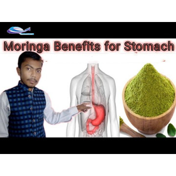 Good Sildenafil Bulk Price Natural Organic Moringa Leaf Powder Manufactory