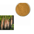 Best function cnidium monnieri extract powder fructus cnidii