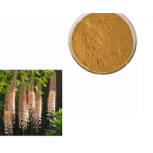 Top Quality natural Bulbine Natalensis Extract