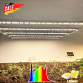 LED cultiver de Spider Farmer