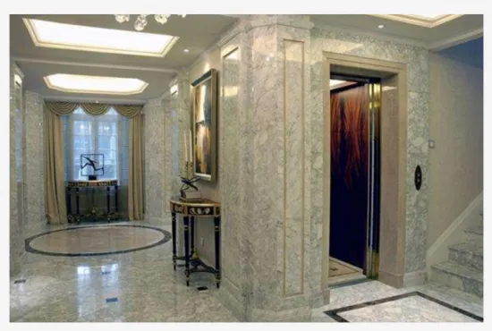 Cheap Used Home/Hotel Passenger Elevator