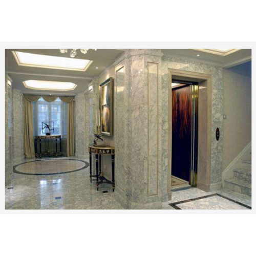 Cheap Used Home/Hotel Passenger Elevator