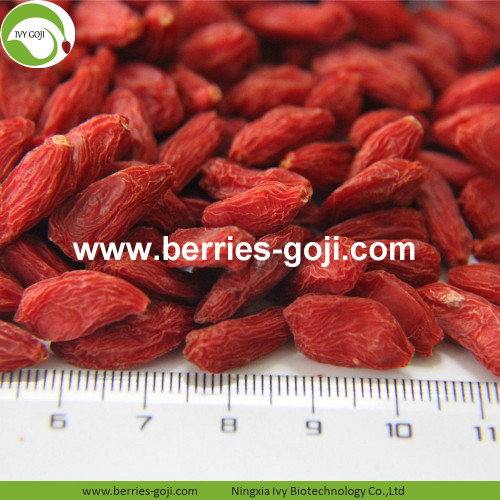 Factory Wholesale For Sale Dried Fruit Wolfberry