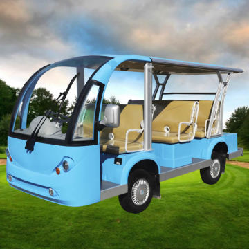 Electric Buggy and Mini Bus Sightseeing Tour Prices in Dollars