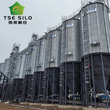 100m³ Farm Livestock Feed Silo for Pig Farm Feeds