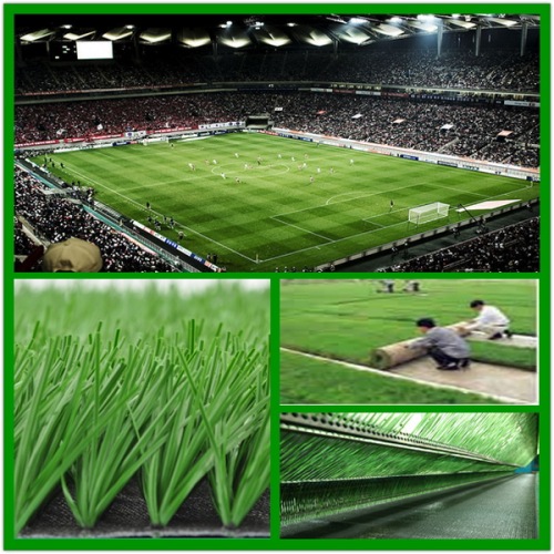 Diamond Monofilament Artifical Grass for Soccer Court Lawn (MJD-A55H16E)