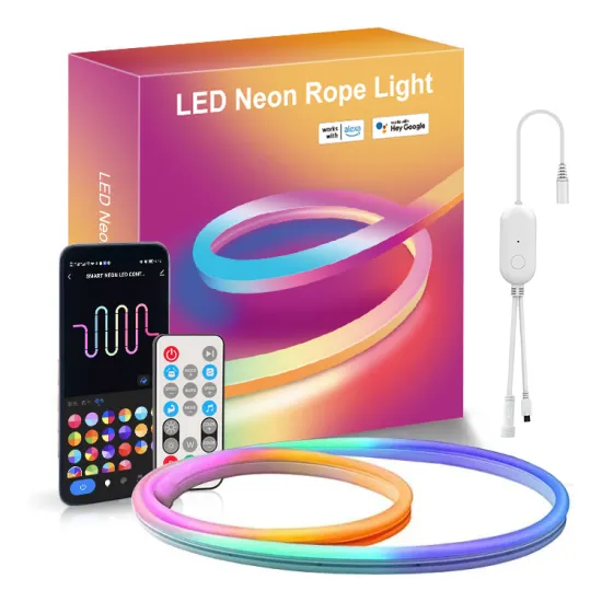 Custom Logo IR Controlled Smart RGB LED Neon Strip Lights for Home Decoration in Bedroom