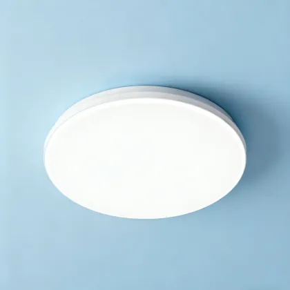 Smart Remote Control Ceiling Light
