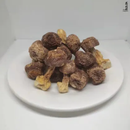 Factory Price Natural Organic Agaricus Blazei Dried Whole Mushrooms