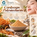 Cordyceps Polysaccharide 20%–60% Extracto en polvo para formulaciones cosméticas y alimentarias
