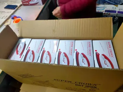 Iron Box Dry Ironing Presses for Quick Drying and Clothes Ironing