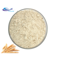 supply organic wheat germ extract powder