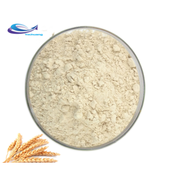 supply organic wheat germ extract powder