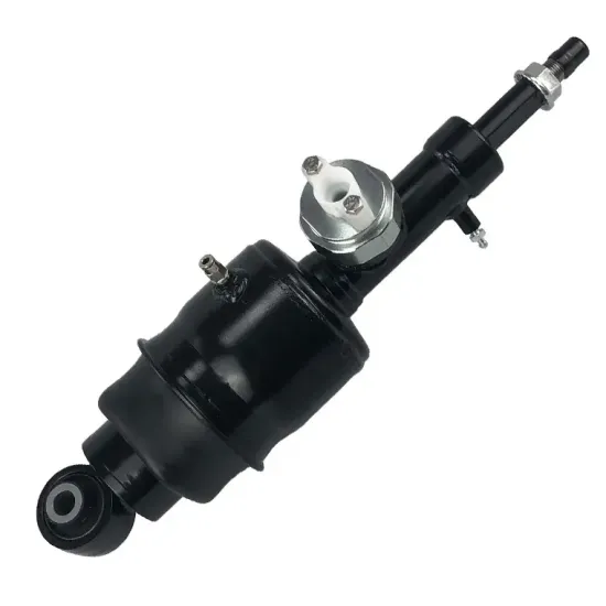 High Quality Air Suspension Strut Parts Air Shock Absorber for QX56 QX80 Rear Left & Right E62101LA7B E6210-1LA7B