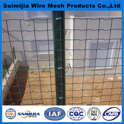15 years old factory to supply holland wire mesh