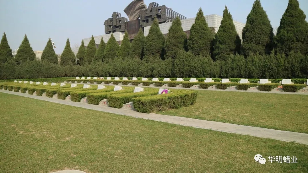 640.webp (4)