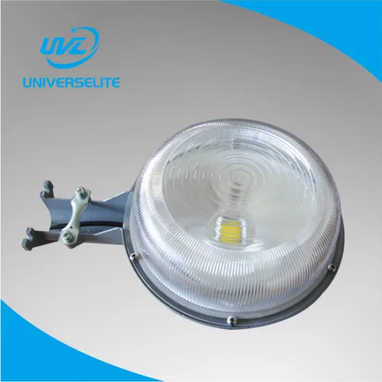 50W LED Outdoor Urban Light, with Photo Sensor,IP65, CE&ROHS