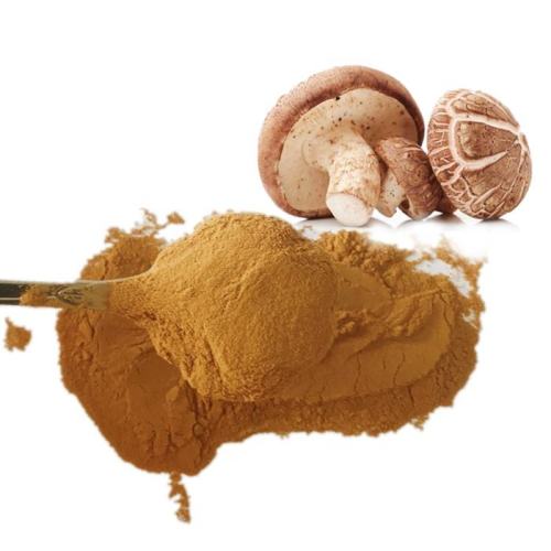 High Quality Shiitake Extract Powder Polysaccharide