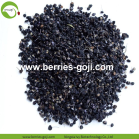 Nhà máy Sản xuất Lớn Đen Khỏe mạnh Wild Black Wolfberry