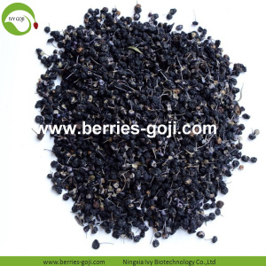 Usine en vrac Nutrition saine Wild Black Blackberry