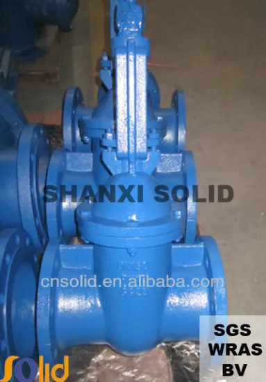 RS F5 Resilient Seated Gate Valve