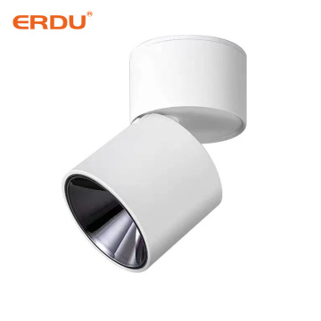 ERDU Adjustable Angled Ceiling LED Downlight