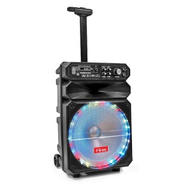 Portable Bluetooth Karaoke Speaker with Baffle for Professional Audio Equipment