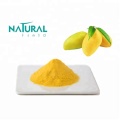 Mango Extract Powder Weight loss African Mango extract Fruit powder Manufactory