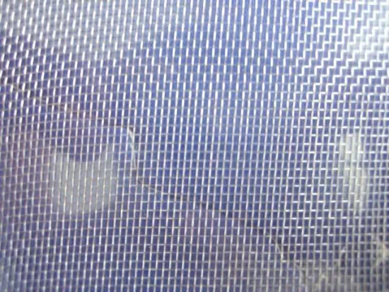 plastic insect netting insect wire mesh plastical insect wire netting