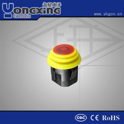 IP40/65 3A 250VAC waterproof electrical push button switch