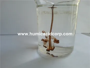 K Humate fertilizer for plants and soil
