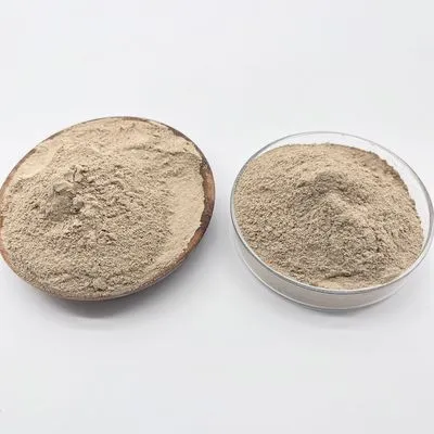 Effective Bio Bacteria for Organic Water Treatment