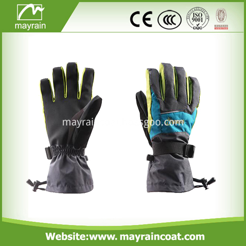 Ski Gloves