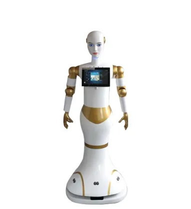 Robotics Companies: AI Greeting Service Robots for Public Spaces