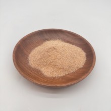 Hatékony vízkezelés bio baktériumok