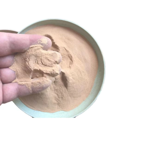 Npk Organic Fertilizer Bacillus Subtilis Top Quality Bacillus Subtilis For Plant Supplier