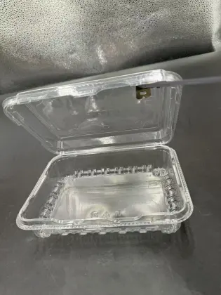 the PET box for meat and vegetale meat plate display and stocking