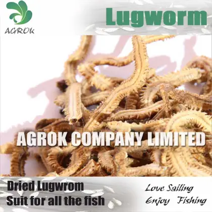 Dehydrated Lugworm Fishing Bait Dry Fishing Bait