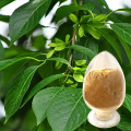 Natural Eucommia Bark Extract free sample