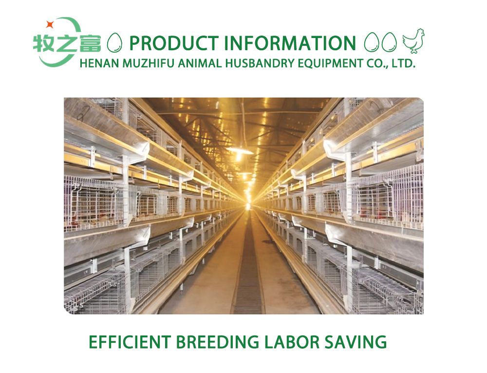 Baby Chick Rearing Cage System Z