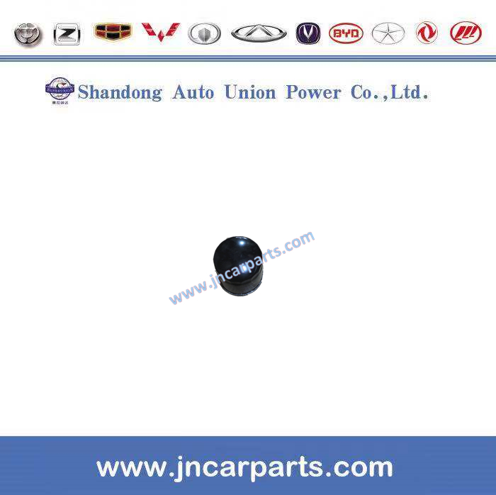 Greatwall Auto Spare Parts