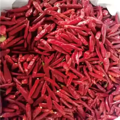 Hot Red Dried Chilli Pepper Extract Powder
