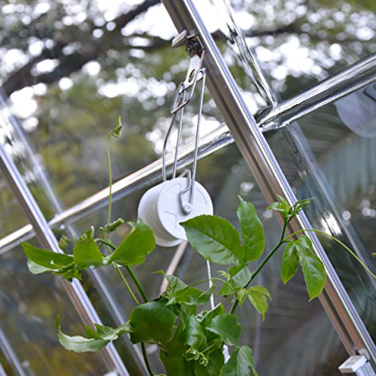 Greenhouse Tomato Plant Accessory Trellising Roller Hook