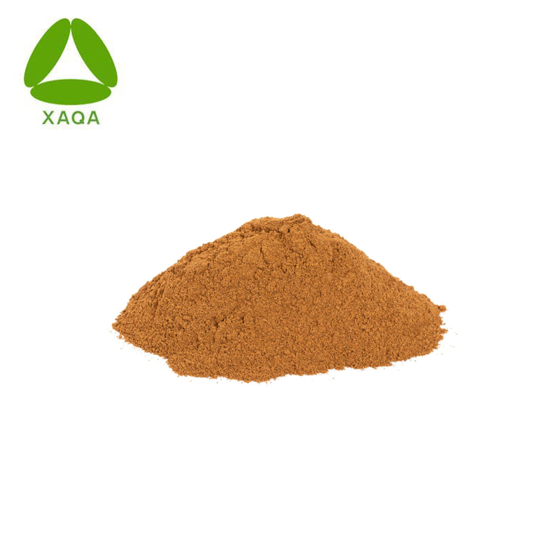 Wild Dried Chrysanthemum Hieracium Pilosella Extract Powder